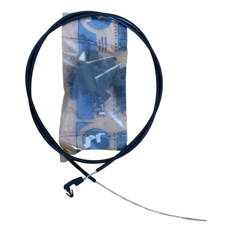 Renault Guaya Aceleración Kangoo, Clio 8v