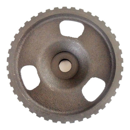 Lada Piñon Arbol Leva O Distribucion