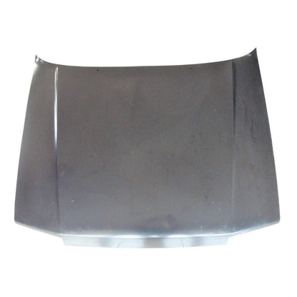 Renault Capot R21 Carburado