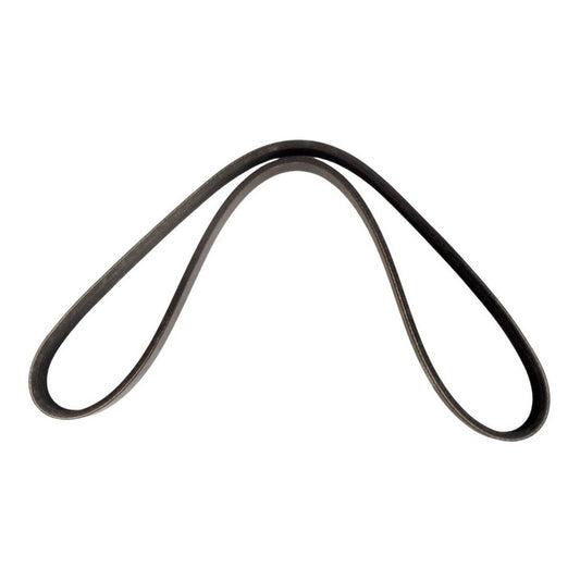 Correa Alternador 5pk962 Corolla Araya Baby Camry Accord 2.7