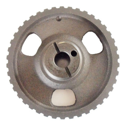 Lada Piñon Arbol Leva O Distribucion