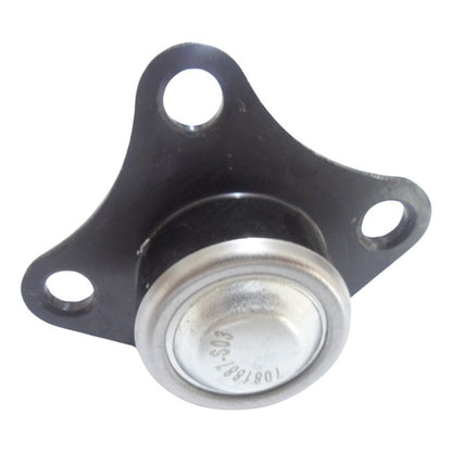 Fiat Muñon Inferior Palio, Siena, Young, 1.3 Mpi