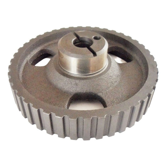 Lada Piñon Arbol Leva O Distribucion