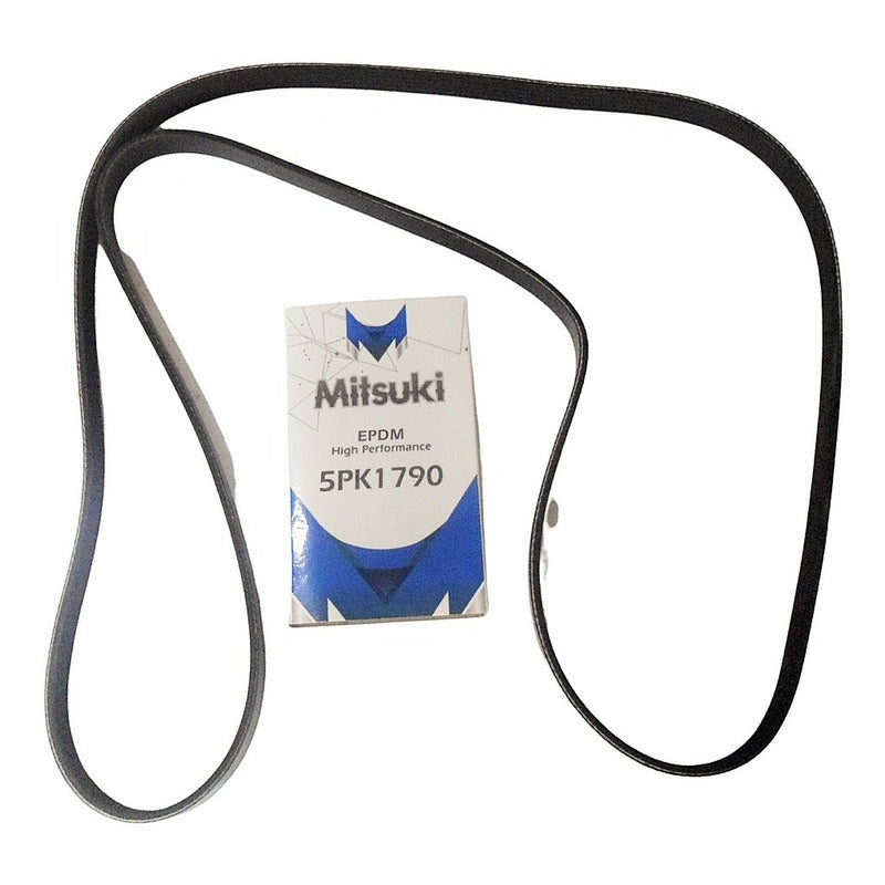 Renault Correa Unica Palio 1.8 8v 5pk1790